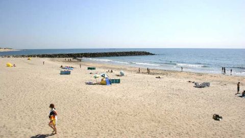 Ofir Ofir